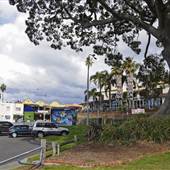 Shellharbour 1