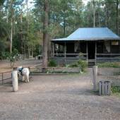 Timbertown