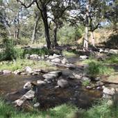 Coxs River - Glenroy Cabins and Camp Ground