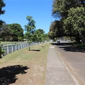 Centennial Park - Musgrave Pond