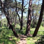 Centennial Park - Sandstone Ridge