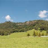 Yellow Rock - Tullimbah