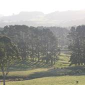 Southern Highlands Region