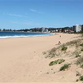 Narrabeen Beach