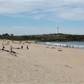 Wollongong City Beach