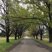 East Tamworth