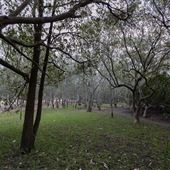 Burnum Burnum Sanctuary