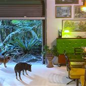 The Rainforest Shed