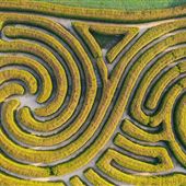 Bago Maze & Wine