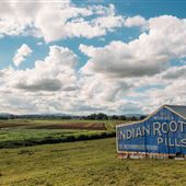 Indian Root Pills Tin Shed
