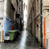 Kimber Lane