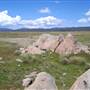Adaminaby and surrounds