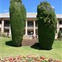 C. B. Newling Centre - Old Teachers' College, Armidale