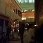 Australian Museum