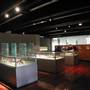 Australian Museum