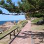 Avoca Beach