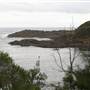 Bass Point Reserve
