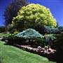 Albury