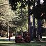 Albury