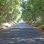 Alstonville