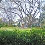 Alstonville