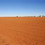 Balranald Area