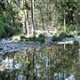 Bellinger Valley