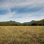 Bellinger Valley