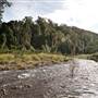Bellinger Valley