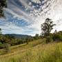 Bellinger Valley