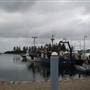 Bermagui
