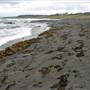 Black Sand Beach, Bass Point Reserve & Shell Cove