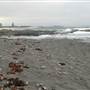 Black Sand Beach, Bass Point Reserve & Shell Cove