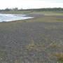 Black Sand Beach, Bass Point Reserve & Shell Cove