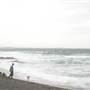 Black Sand Beach, Bass Point Reserve & Shell Cove