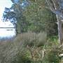 Northern Broadwater Picnic Area