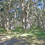 Northern Broadwater Picnic Area