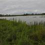 Cecil Hoskins Nature Reserve Moss Vale