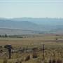 Dalgety/Cooma