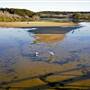 Dalmeny