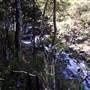 Dalwood Falls