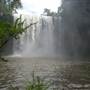 Dangar Falls and Cascades near Dorrigo