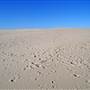 Dark Point Dunes