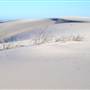 Dark Point Dunes