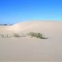Dark Point Dunes