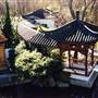 Chinese Garden of Friendship - Darling Harbour