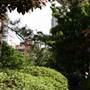 Chinese Garden of Friendship - Darling Harbour
