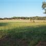 Coonabarabran Jockey Club