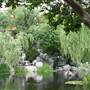 Chinese Garden of Friendship - Darling Harbour