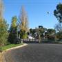 Cootamundra
